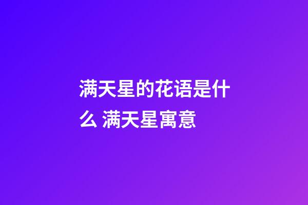 满天星的花语是什么 满天星寓意